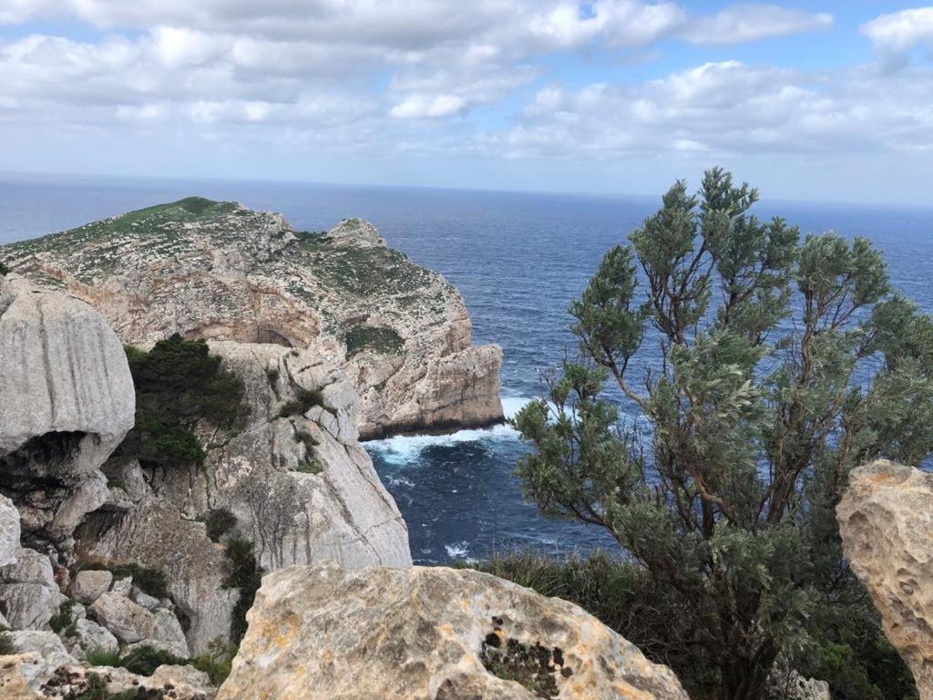 Appartamento Mare E Centro 알게로 외부 사진
