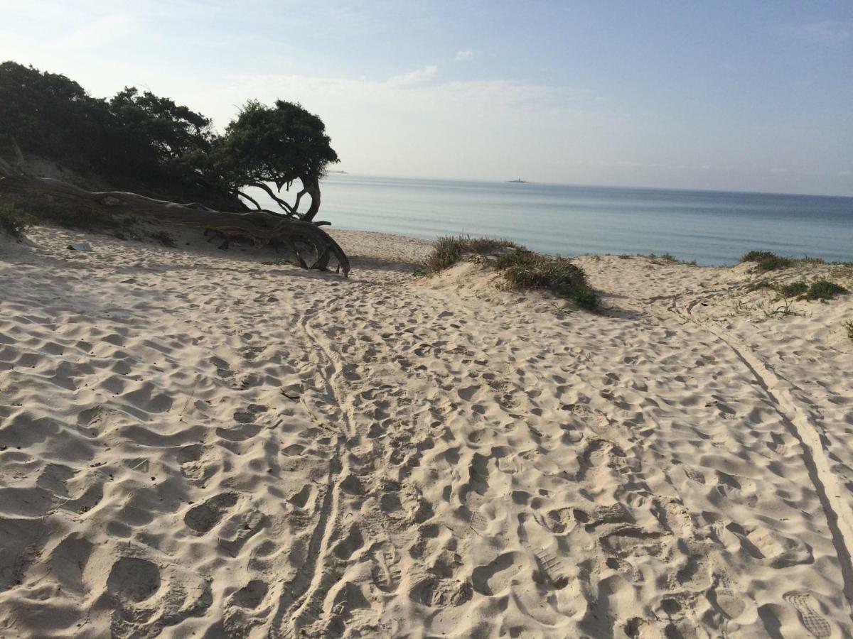 Appartamento Mare E Centro 알게로 외부 사진